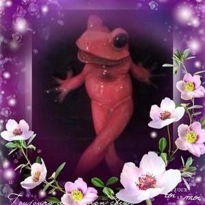 Meet your Posher, Ebone